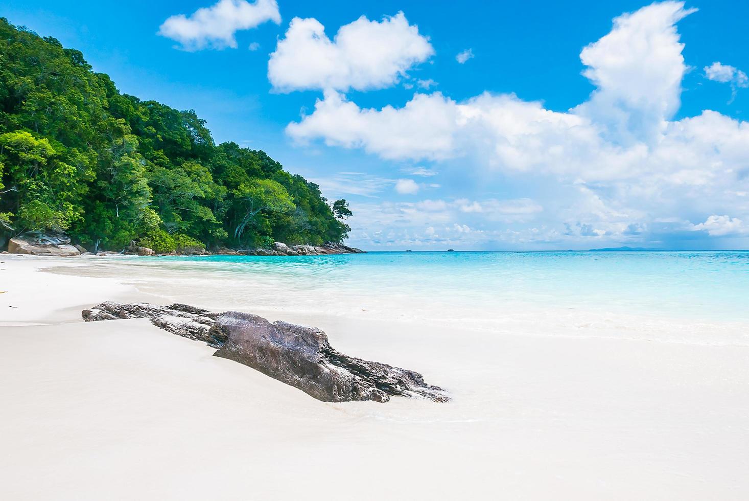 Beautiful tropical beach background photo