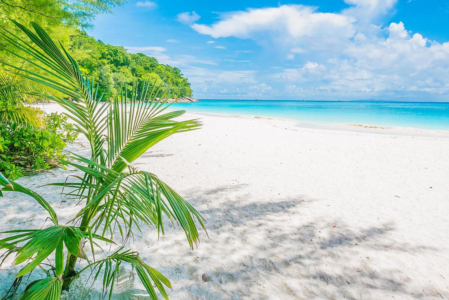 hermoso fondo de playa tropical foto