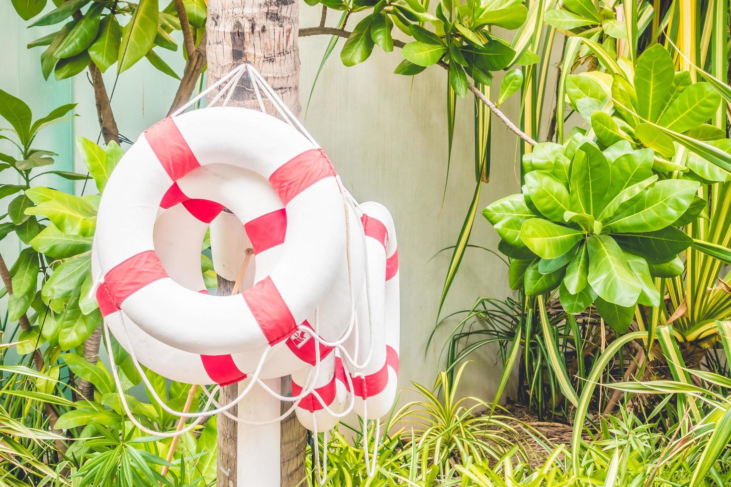 Safety ring around swimming pool photo