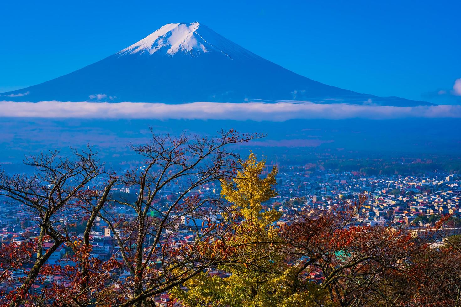 Beautiful landscape of Mt. Fuji in autumn season photo