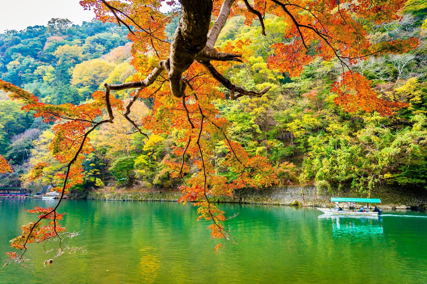 hermoso río arashiyama con árbol de hoja de arce foto