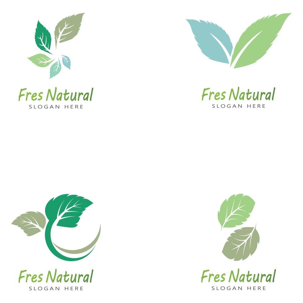 Leaf icon Vector Illustration design Logo template