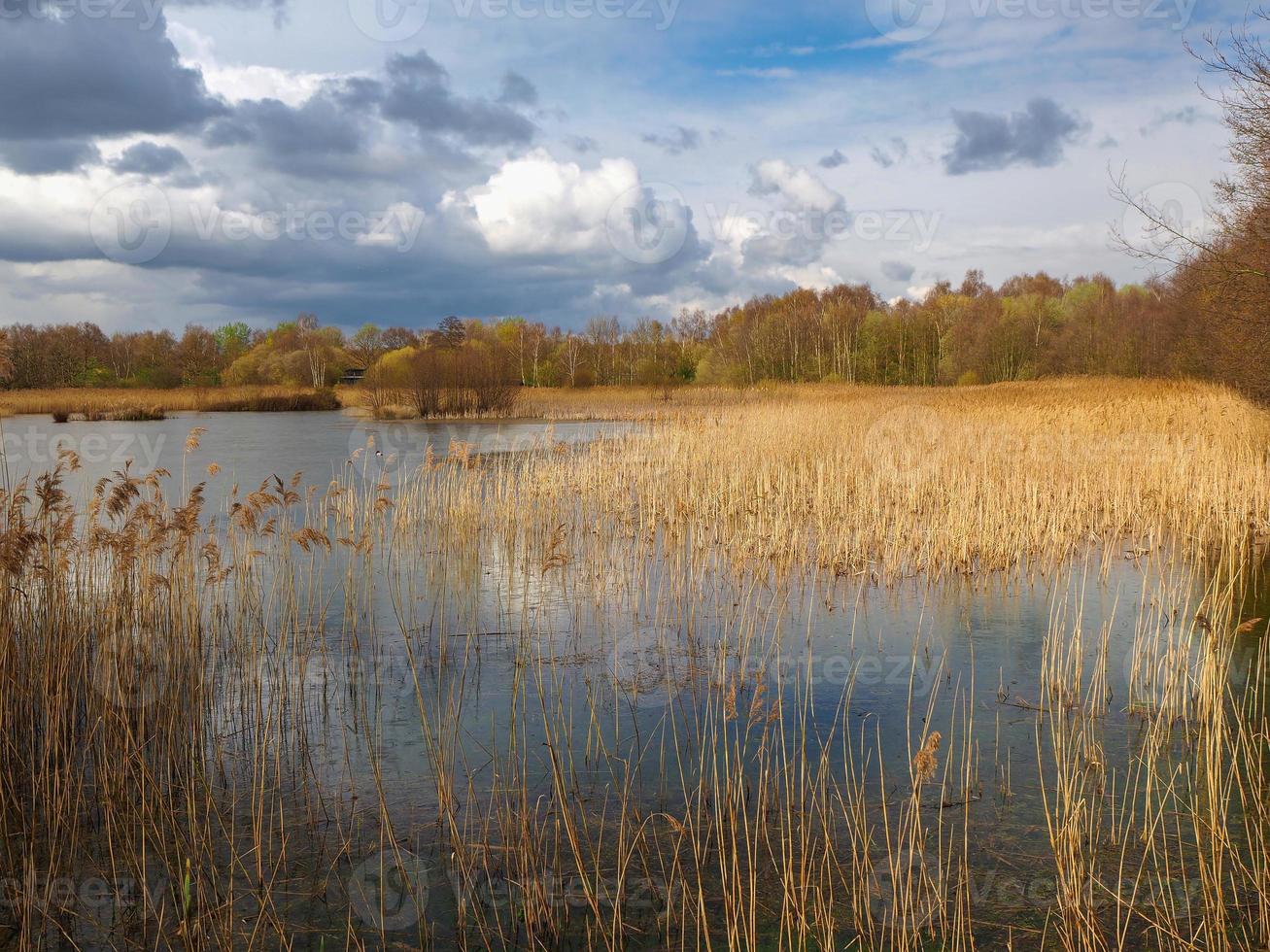 Potteric Carr Nature Reserve, South Yorkshire, England photo