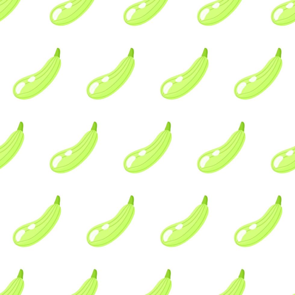 Vector seamless pattern with whole ripe green squash isolated on white background