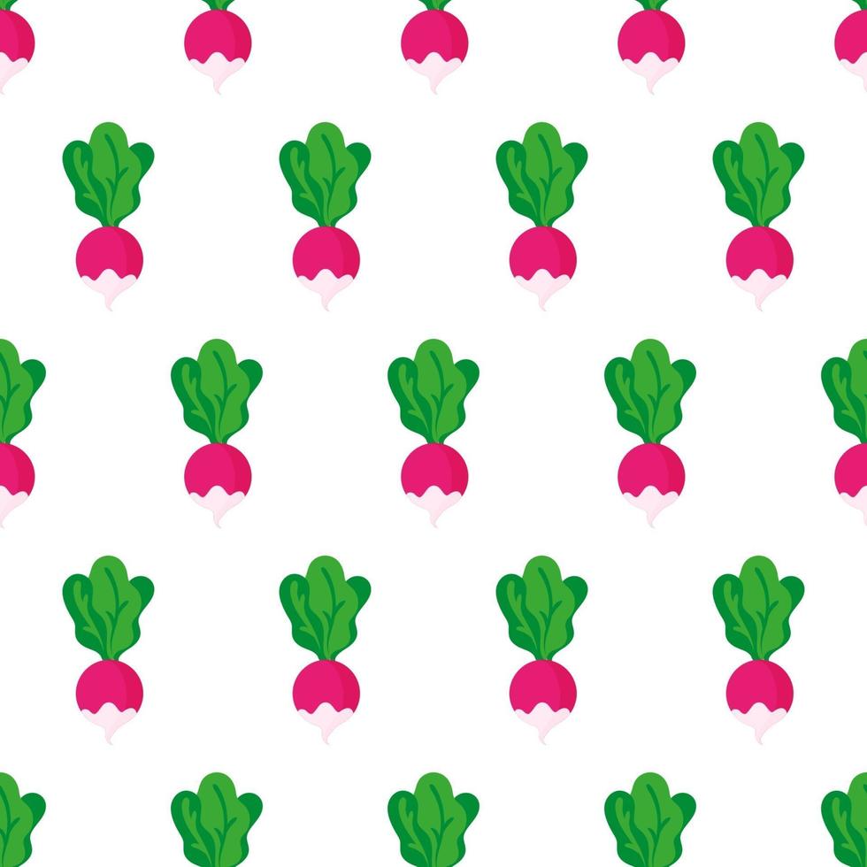 Vector seamless pattern with whole ripe pink radish with tops isolated on white background