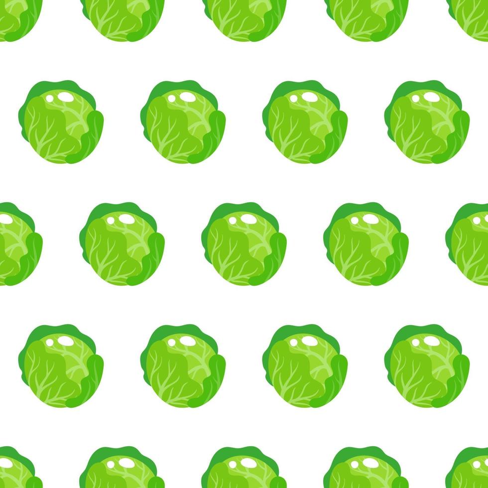 Vector seamless pattern with whole round green cabbage isolated on white background