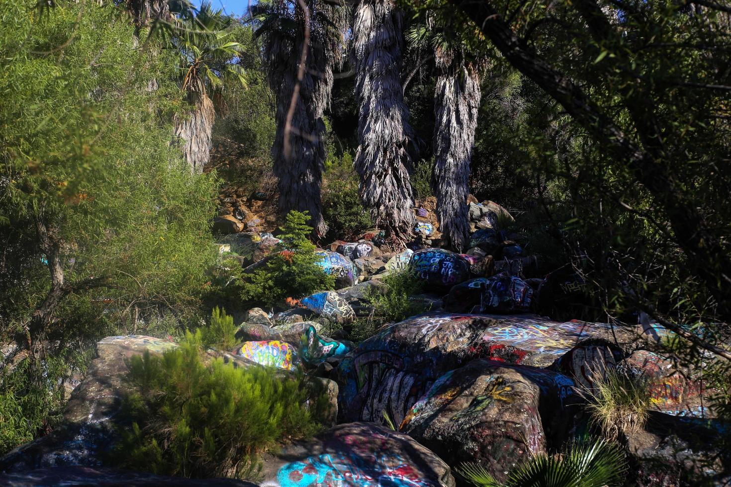 parque de graffiti en san diego, california foto