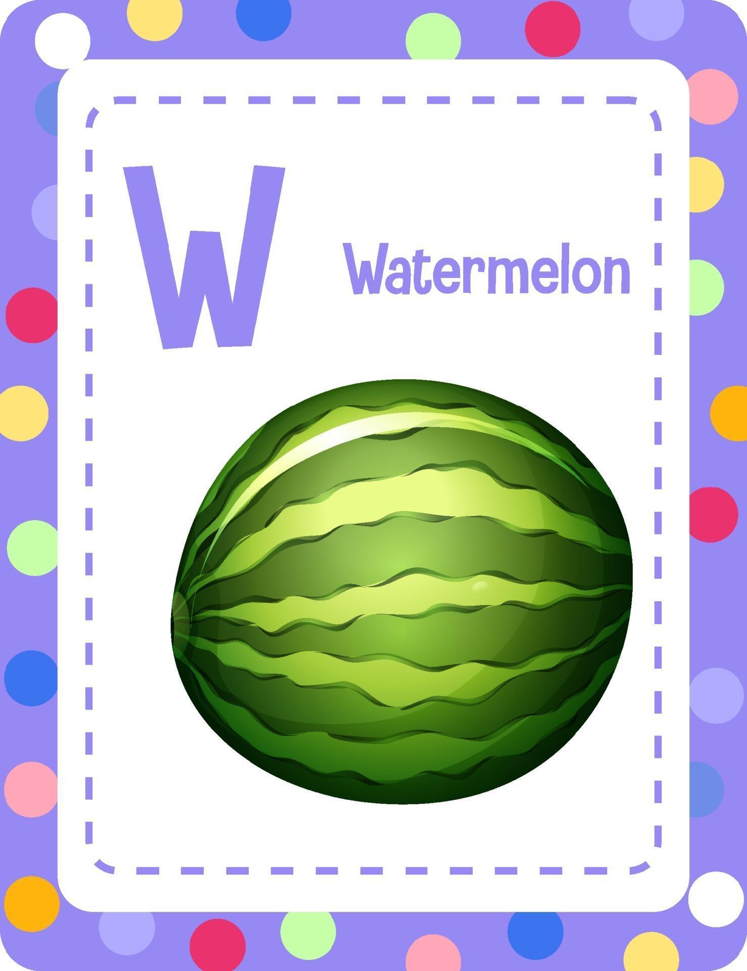 Alphabet flashcard with letter W for Watermelon 2301539 Vector Art at