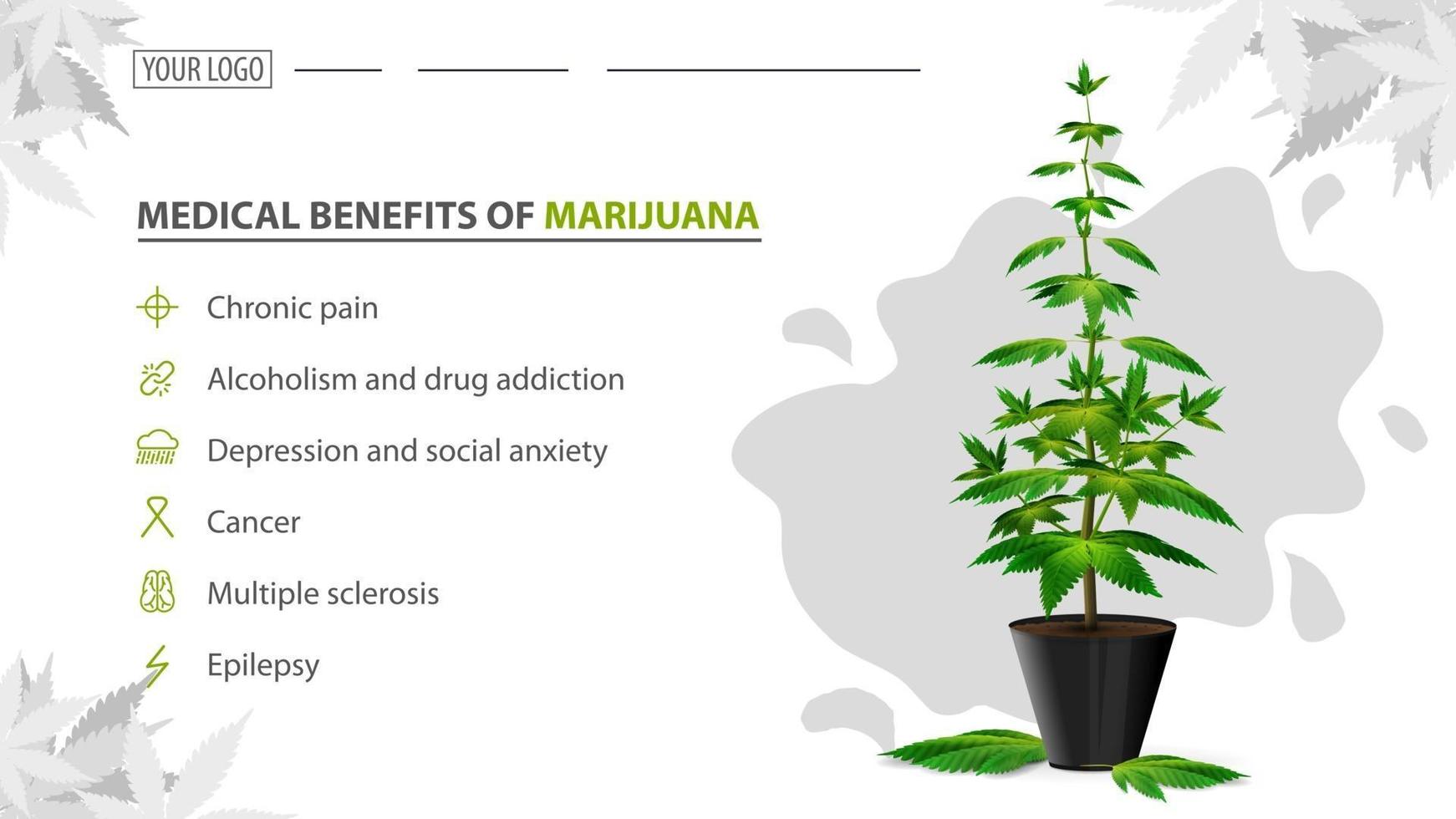 Medical benefits of marijuana, poster for website with bush of cannabis in a pot. Benefits uses of medical marijuana vector
