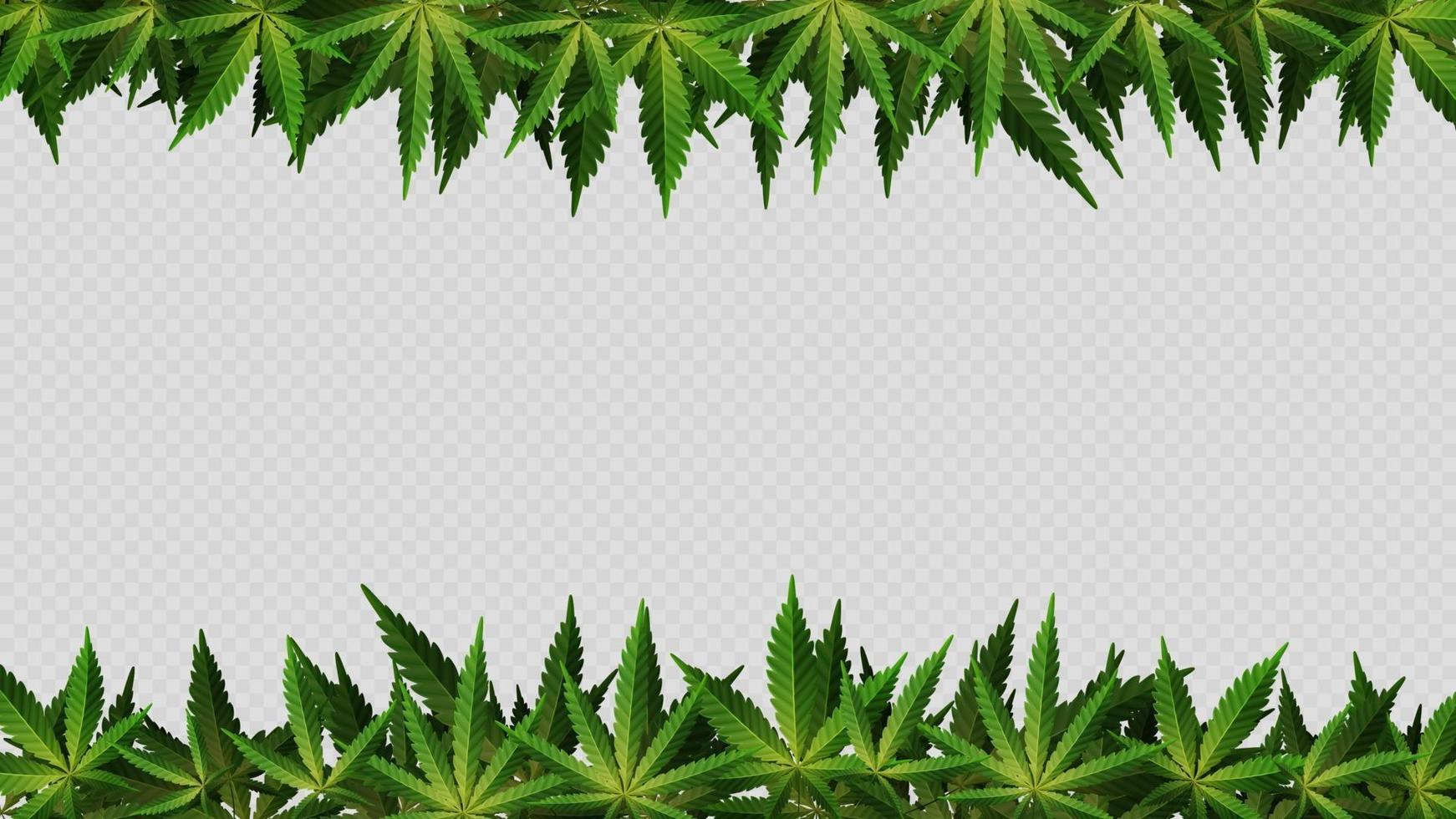 marco de hojas de cáñamo alrededor del espacio vacío horizontal. diseño de un marco hecho de hojas de cannabis para tu creatividad vector