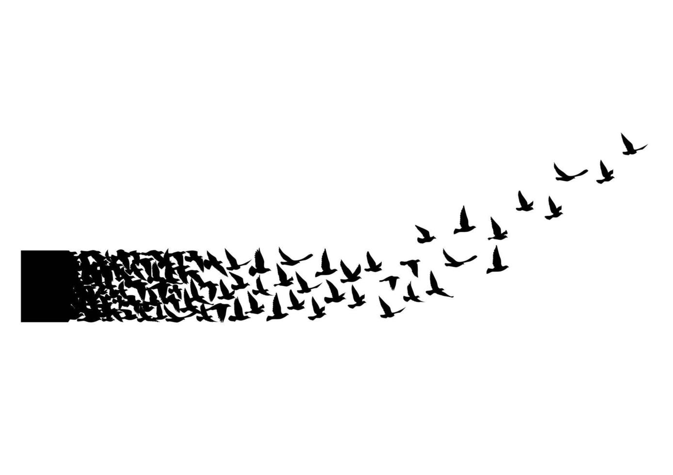 Flying birds silhouettes on white background. Vector illustration. isolated bird flying. tattoo design.