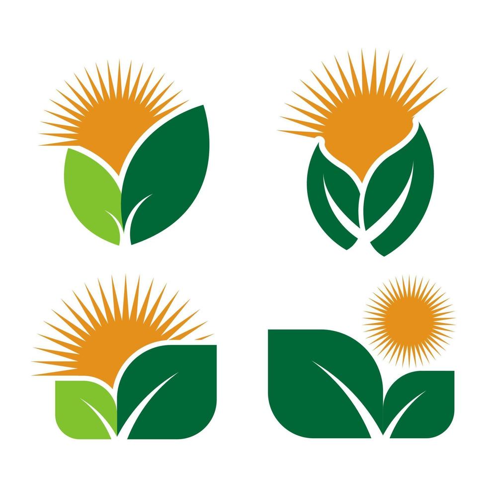 set ecology logos of green leaf nature element icon on white background .vector illustrator vector