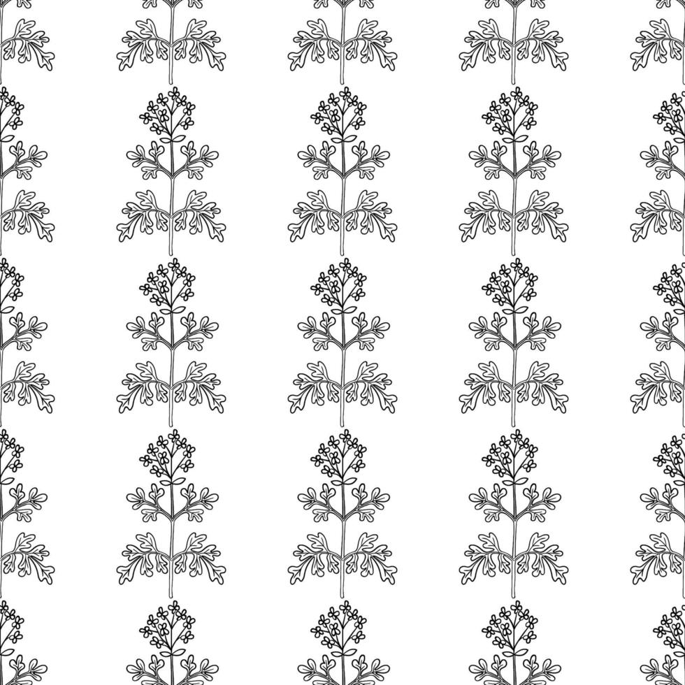 common rue, seamless b-w vector