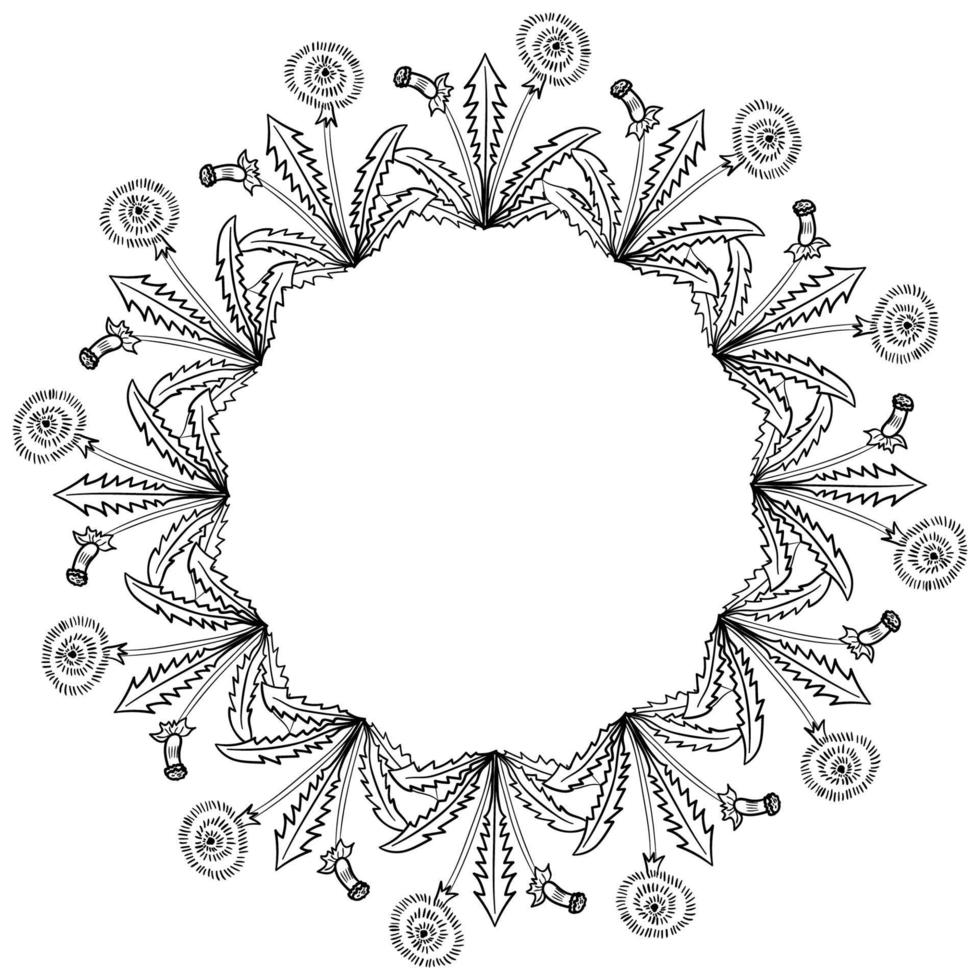 dandelion frame border vector