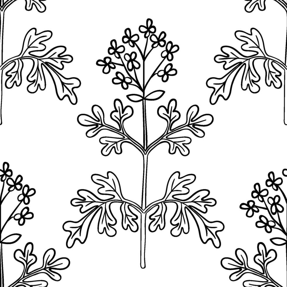 common rue, seamless b-w vector