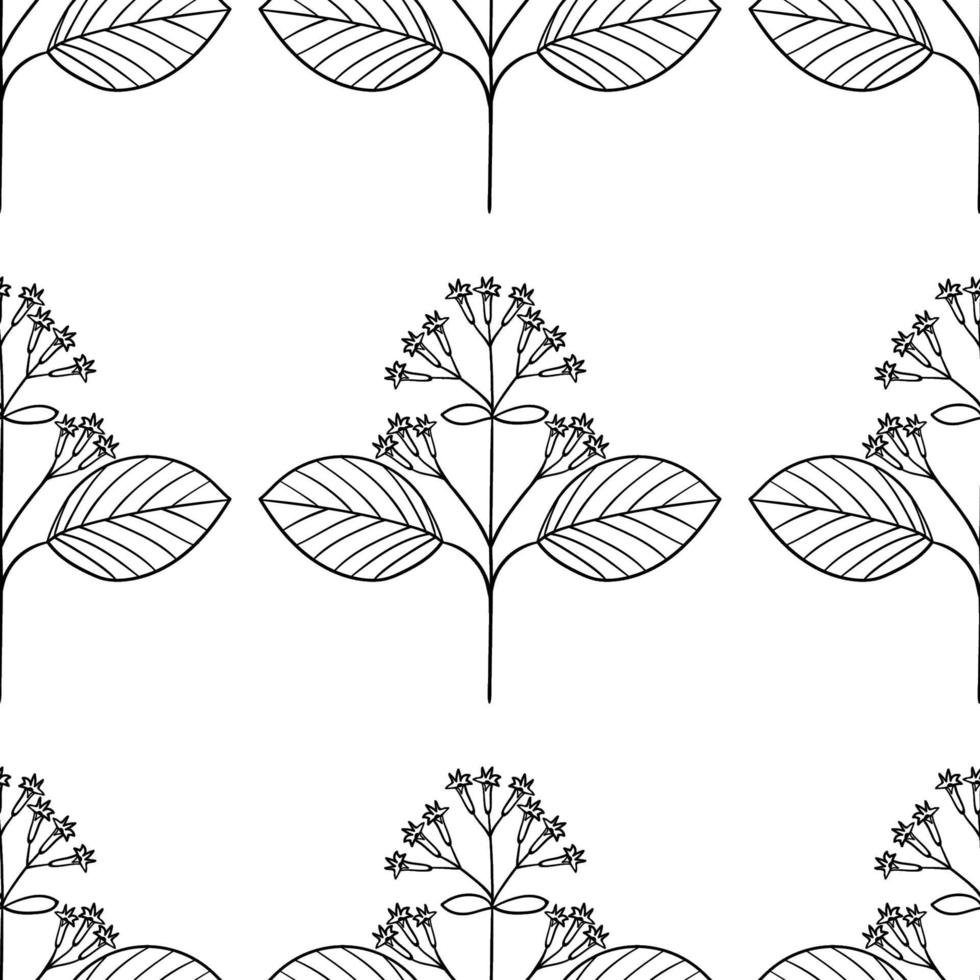 quina, seamless b-w vector