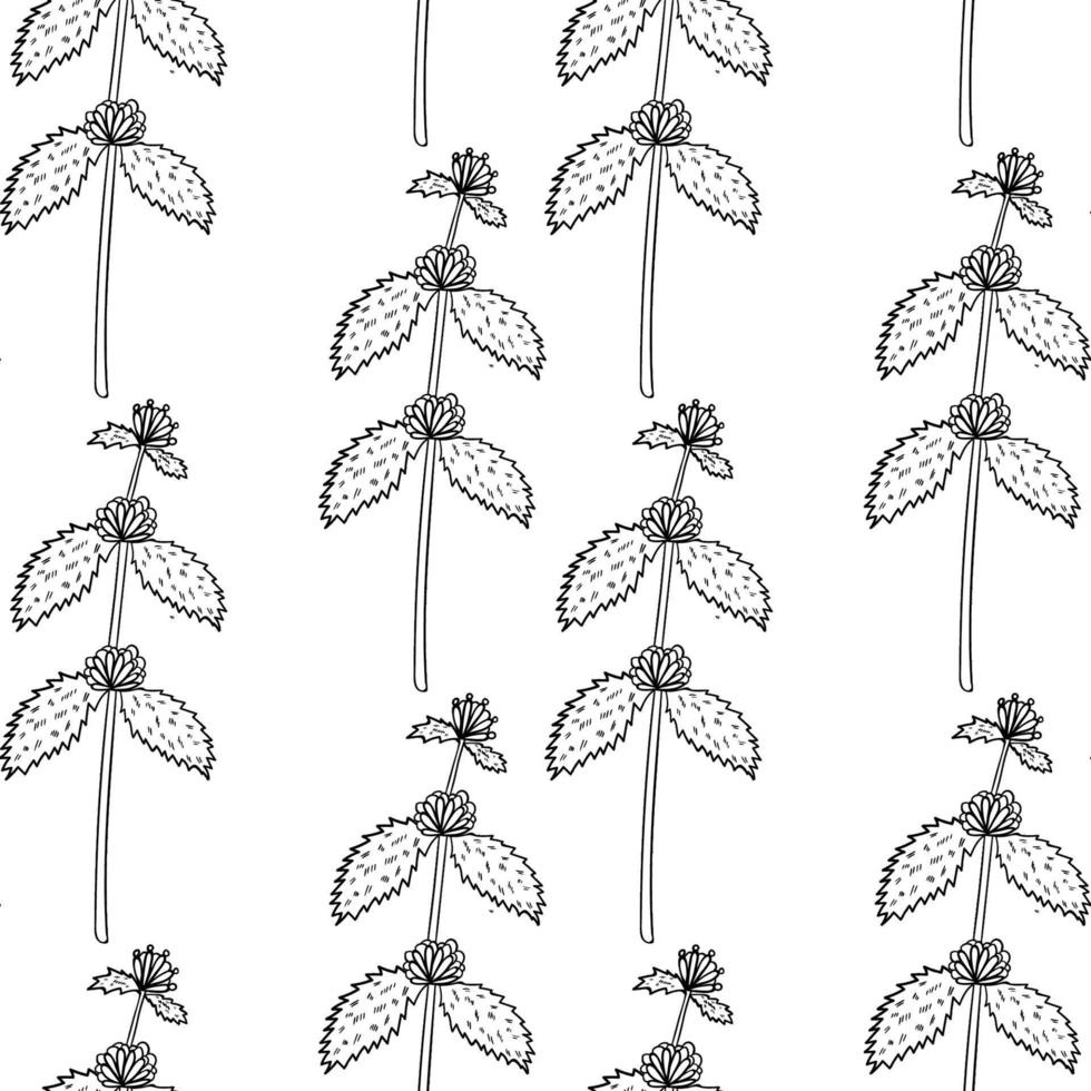 white horehound, seamless b-w vector