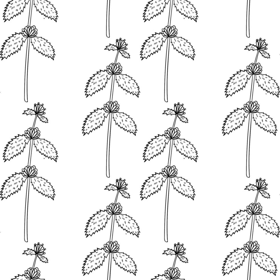 white horehound, seamless b-w vector