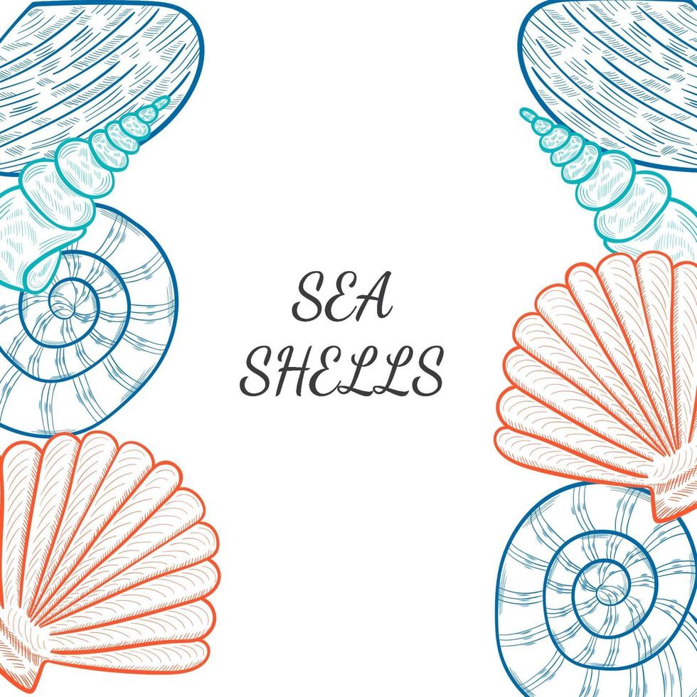 conchas marinas, borde de estrella de mar 2 vector