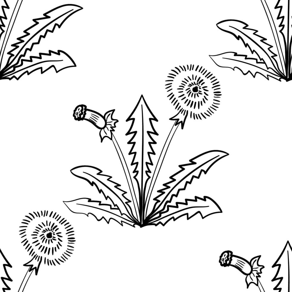 dandelion, seamless b-w vector