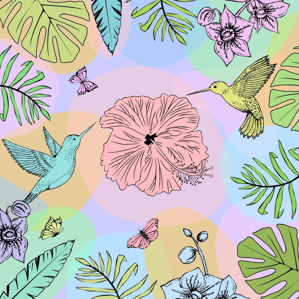 bosquejo de colibríes y hojas tropicales. colores brillantes. vector