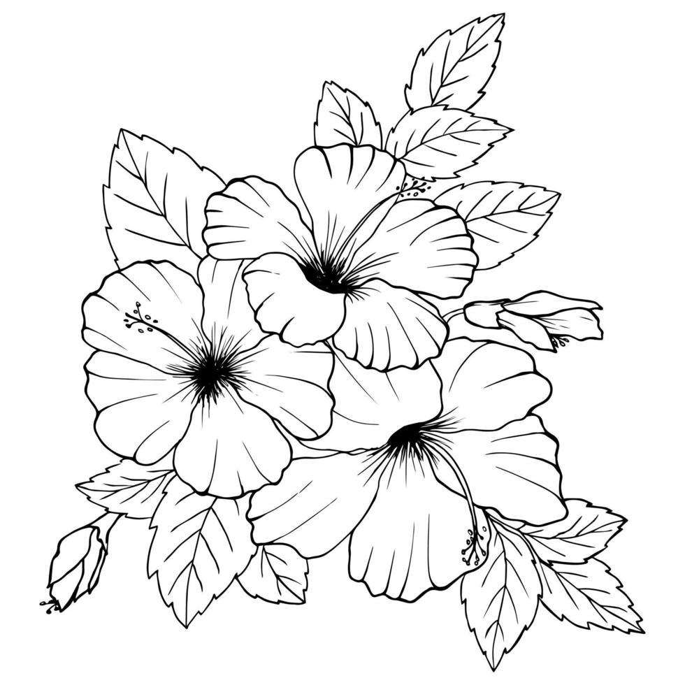 dibujo de flores de hibisco y boceto con arte lineal sobre fondos blancos. vector