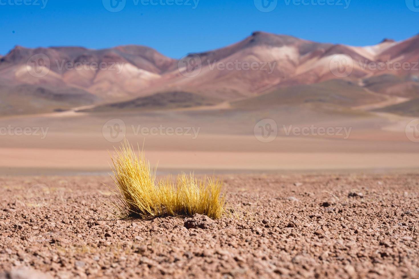 Bolivia desert landscape with rocks and red ground photo