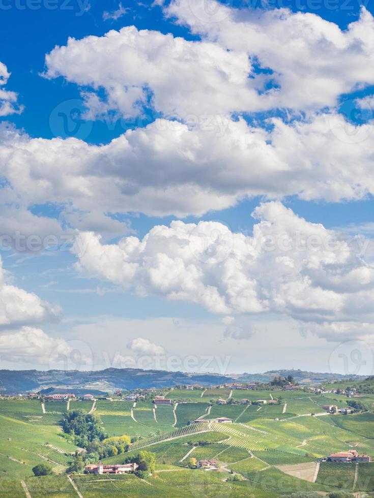 Vineyards and hills in autumn photo