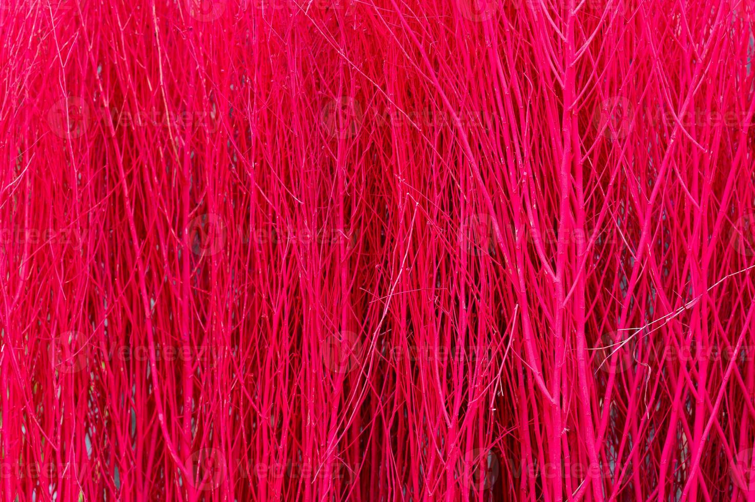 Red color of small dry twigs background photo