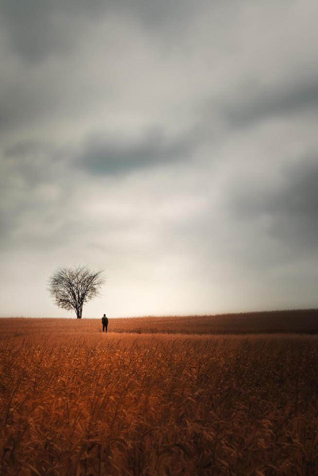 Figure walking in isolated field photo