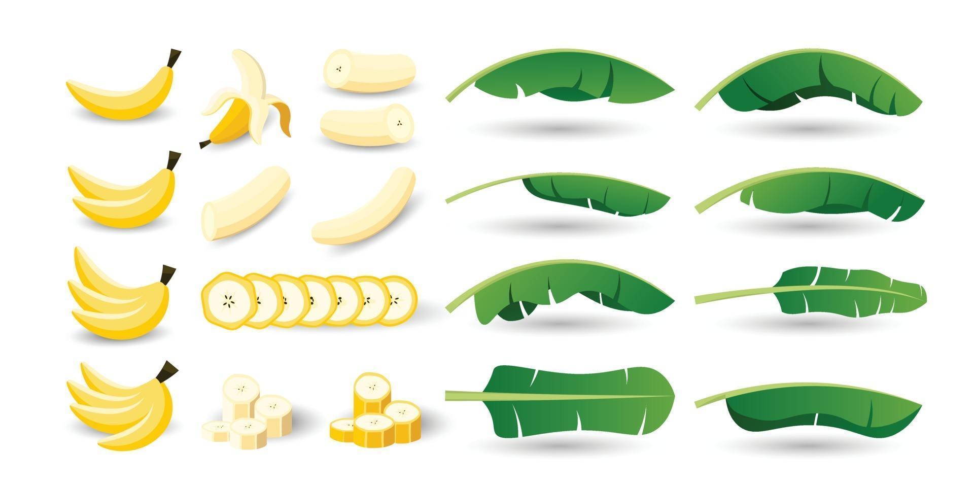 Set of banana fruits and leaves vector
