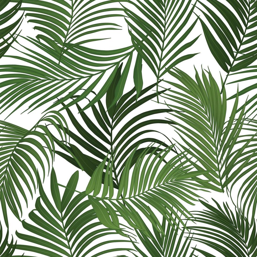 Palm leaf vector seamless pattern