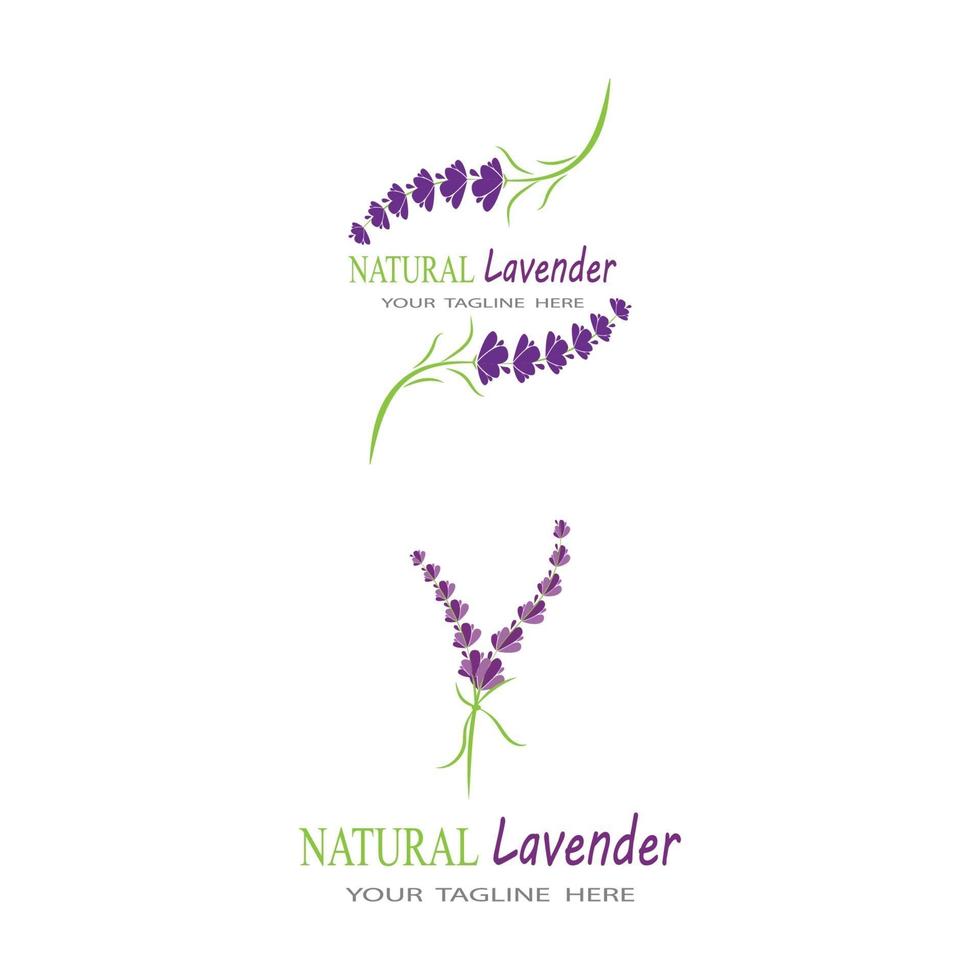 lavanda, logotipo, plantilla, vector, símbolo, naturaleza vector