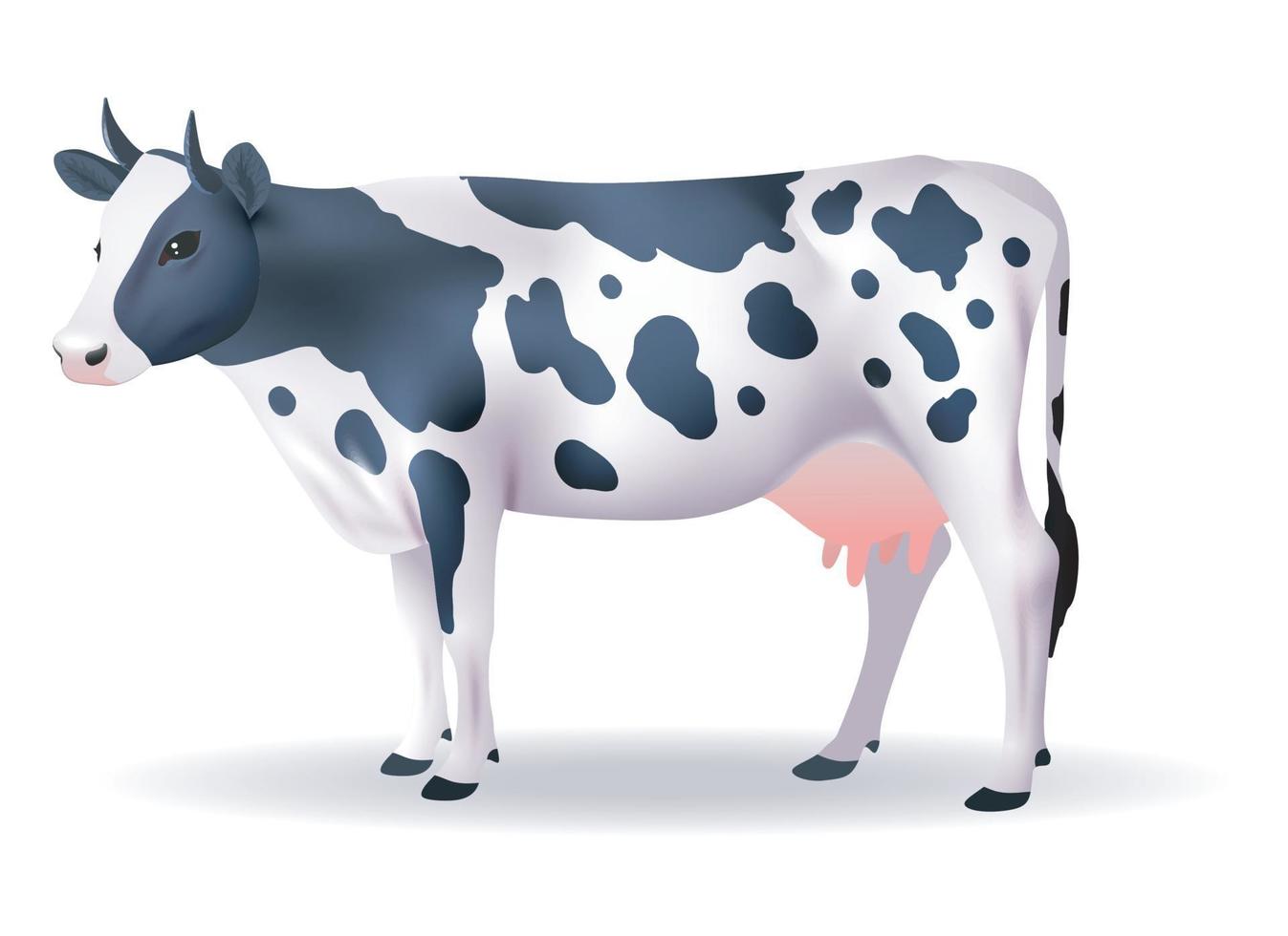 dairy cow vector