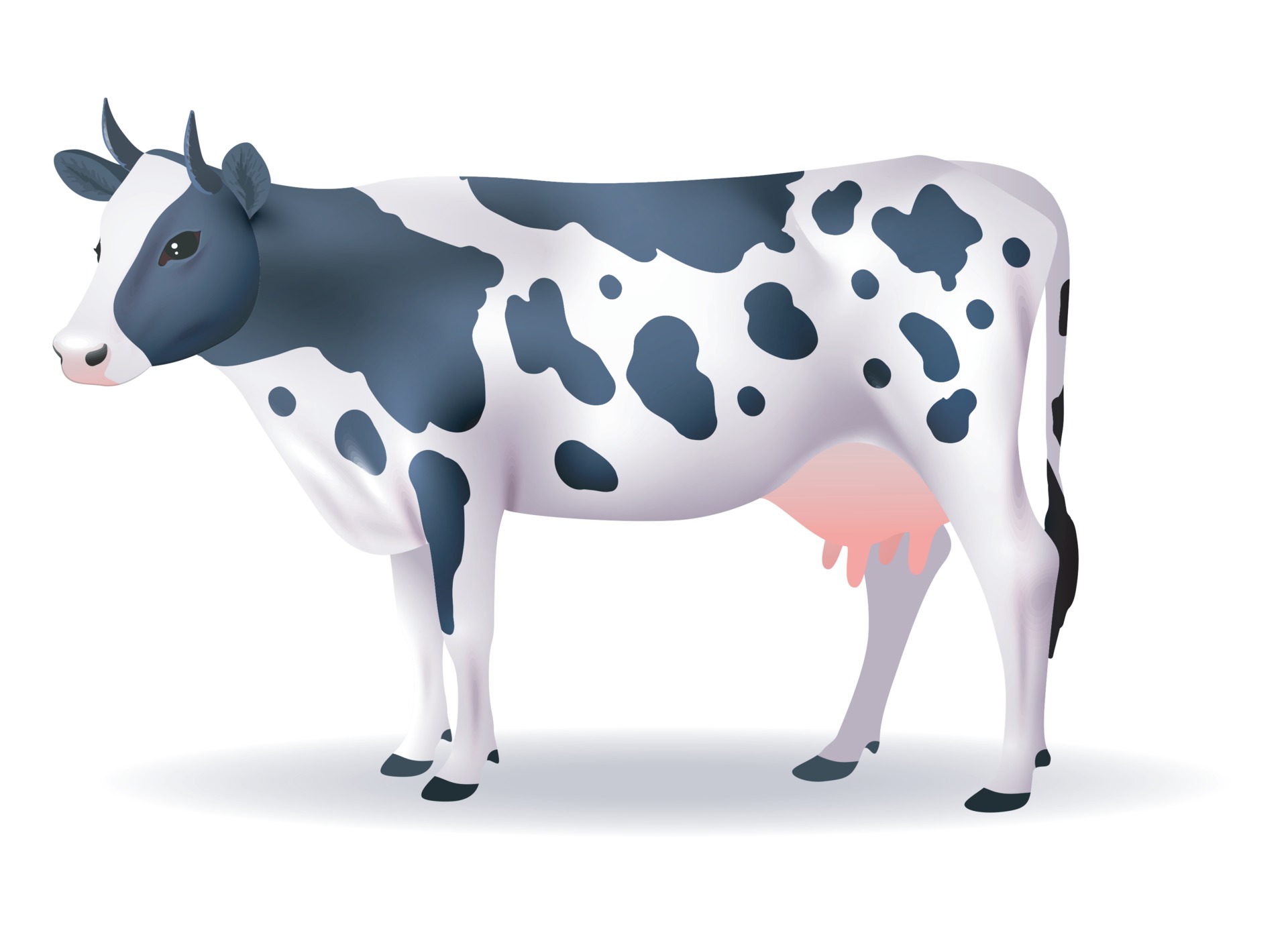 Dairy Cow Vector Art, Icons, and Graphics for Free Download Dairy Cow Vector Art, Icons, and Graphics for Free Download