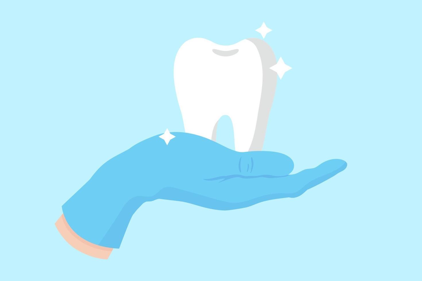 Vector cartoon hand of a dentist in a blue glove that hold a white, healthy, shiny tooth.