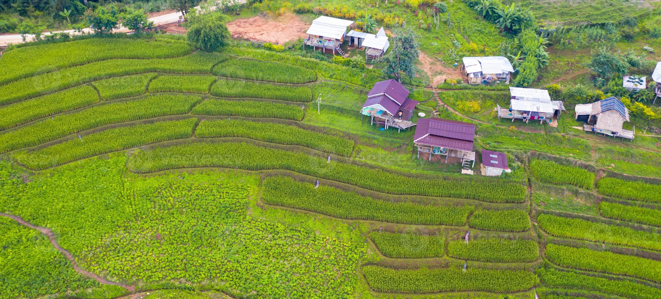vista aérea de los campos de arroz en terrazas verdes foto
