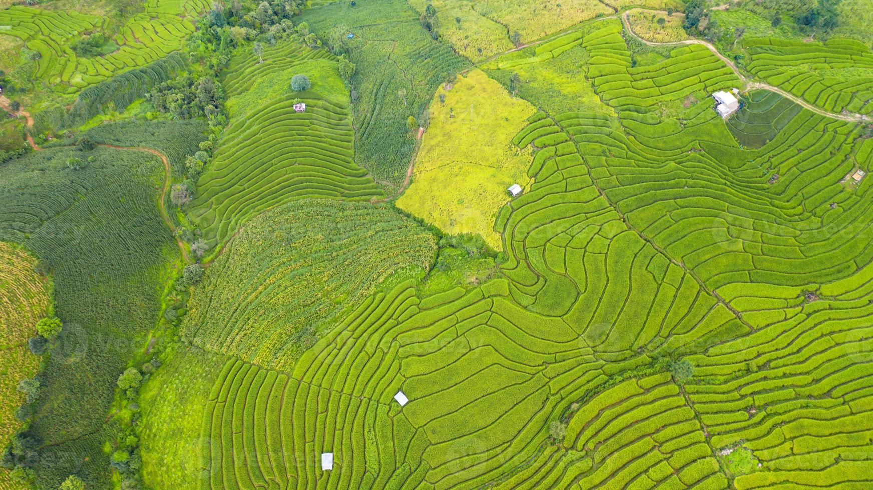 vista aérea de los campos de arroz en terrazas verdes foto