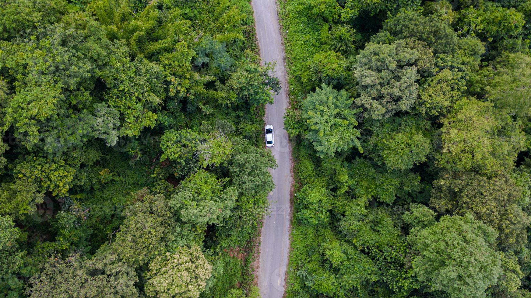 Vista aérea superior de la conducción de automóviles a través del bosque en la carretera nacional, vista desde drone foto