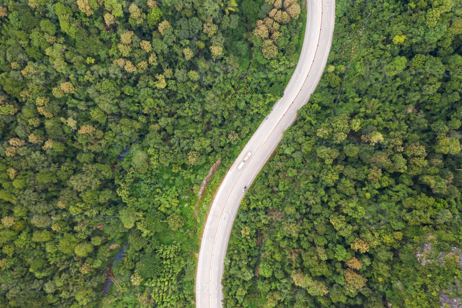 Aerial top view of pathway road in forest, view from drone photo