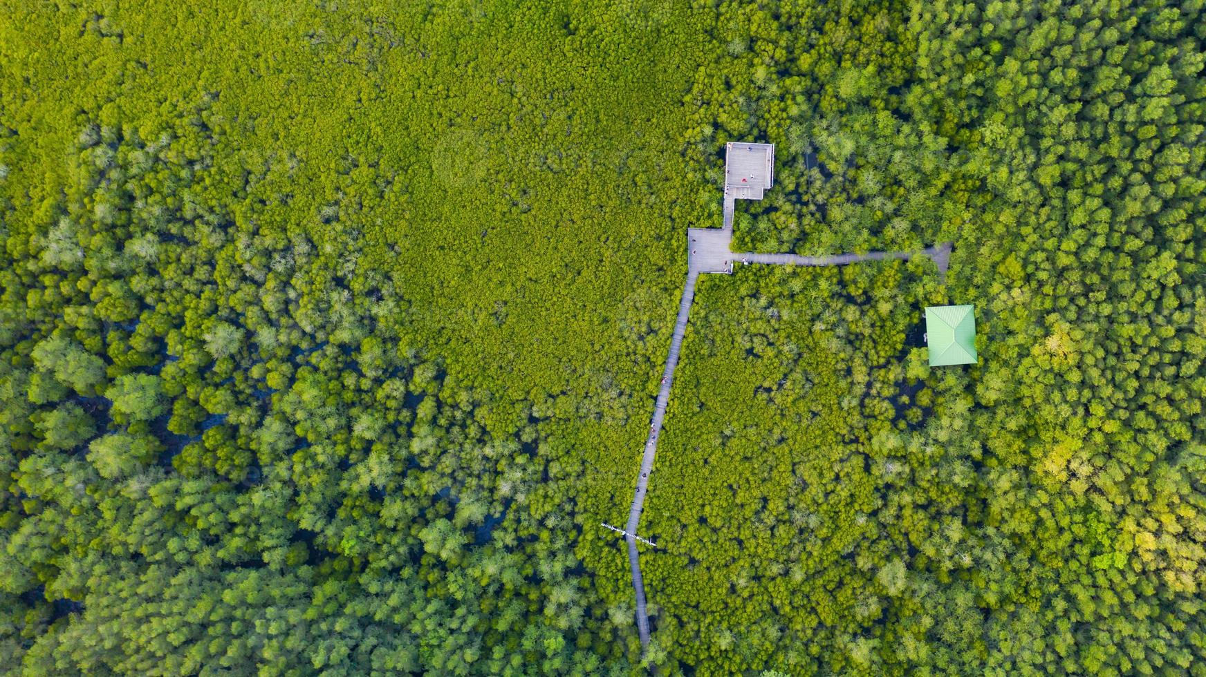 vista aérea superior del puente de madera de manglar foto