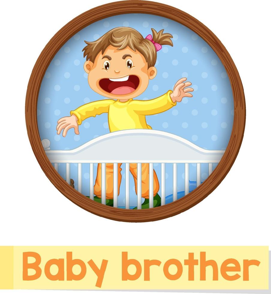 Educational English word card of Baby brother vector
