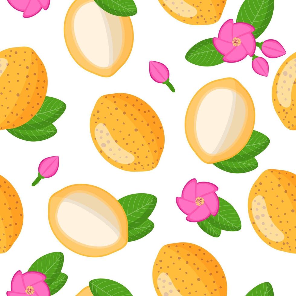 Vector cartoon seamless pattern with Platonia insignis or Bacuri exotic fruits, flowers and leafs on white background