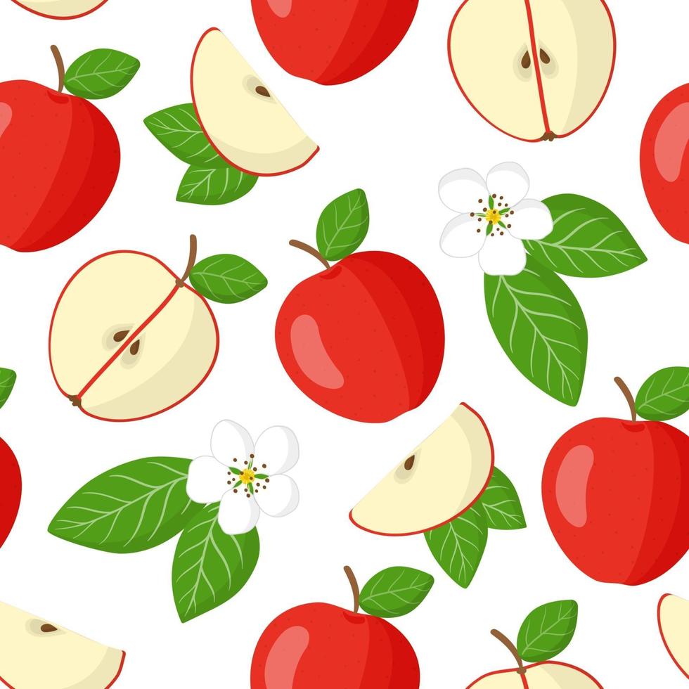 Vector cartoon seamless pattern with Malus domestica or Red apple exotic fruits, flowers and leafs on white background
