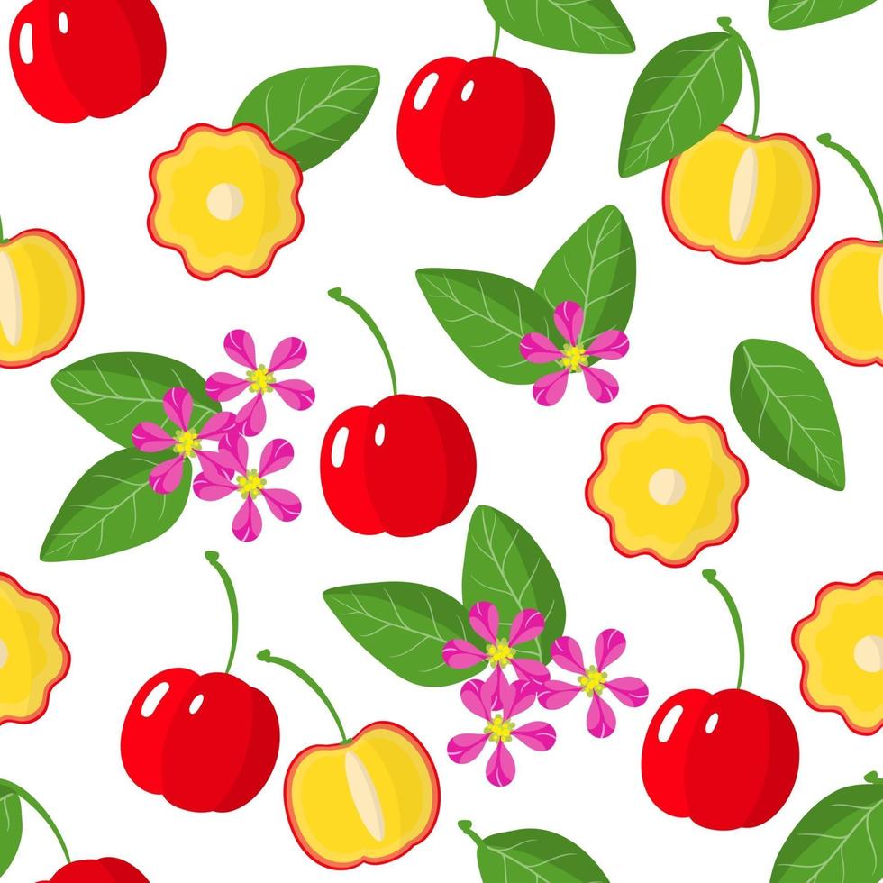 Vector cartoon seamless pattern with Acerola exotic fruits, flowers and leafs on white background