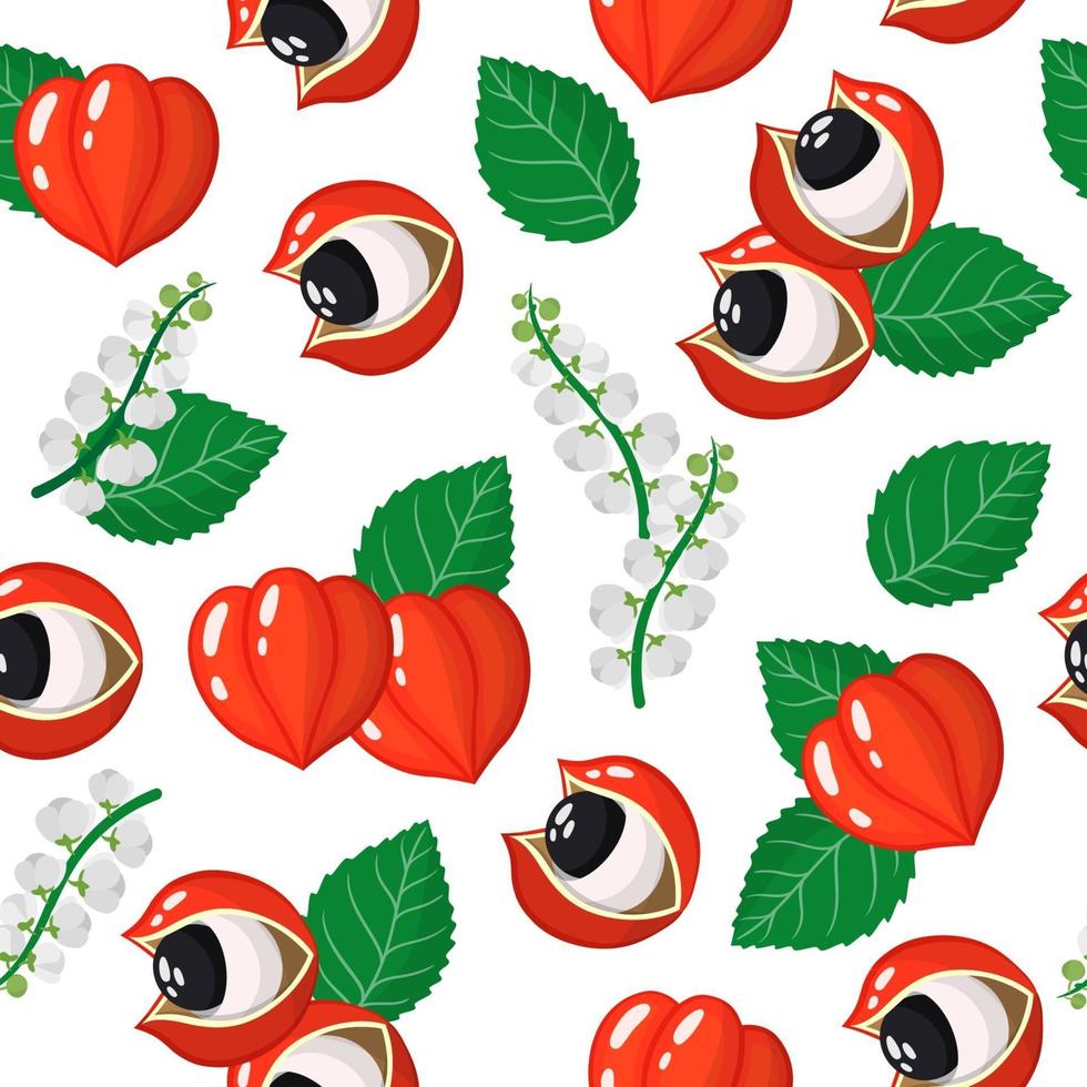 Vector cartoon seamless pattern with Paullinia cupana or Guarana exotic fruits, flowers and leafs on white background