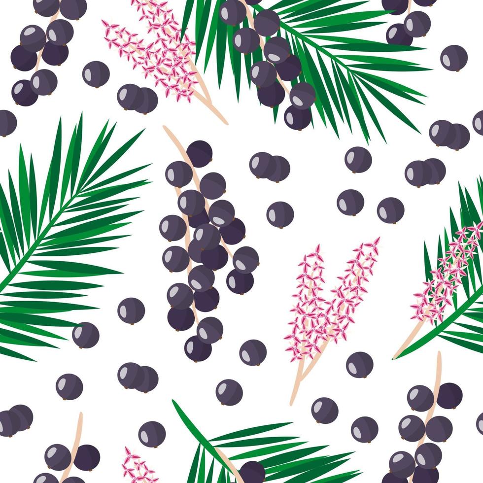 Vector de dibujos animados de patrones sin fisuras con euterpe oleracea o acai palm frutas exóticas, flores y hojas sobre fondo blanco.