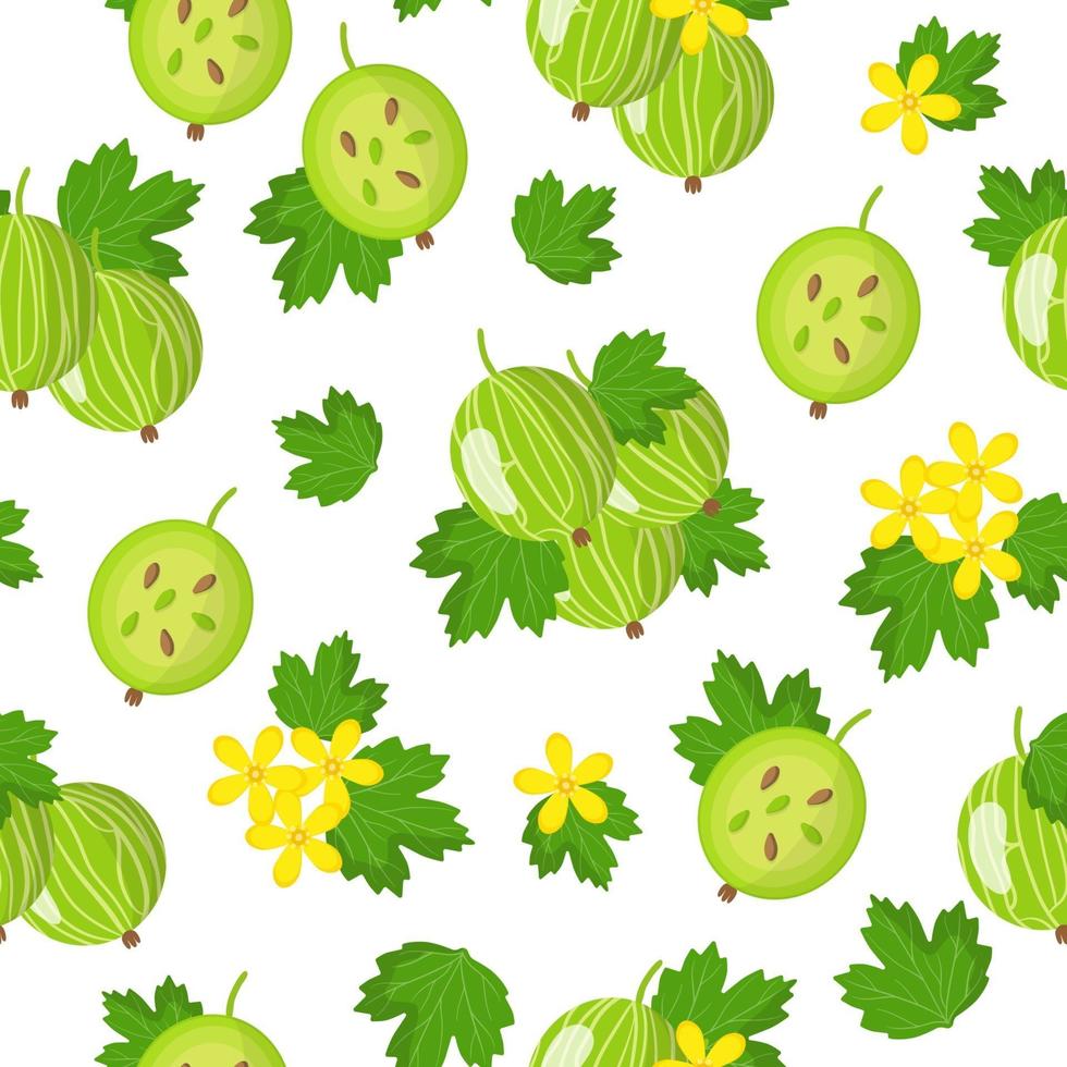 Vector cartoon seamless pattern with Ribes uva-crispa or gooseberry exotic fruits, flowers and leafs on white background