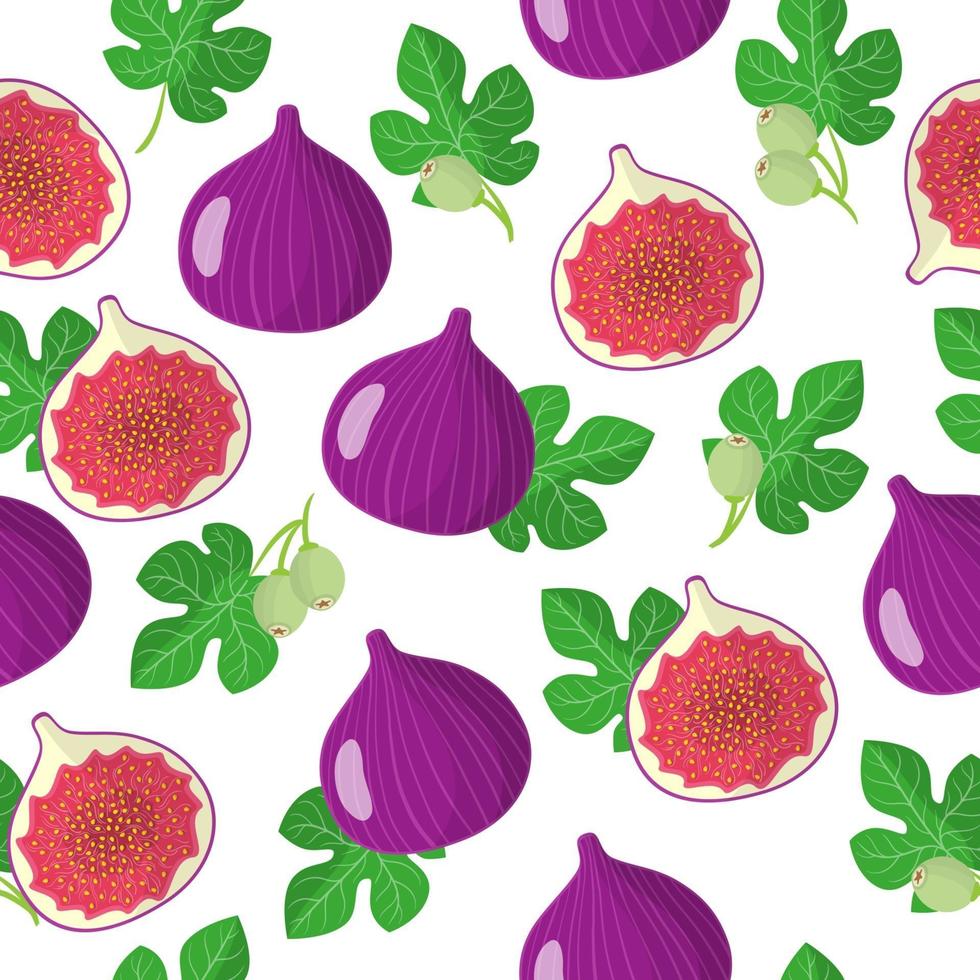 Vector cartoon seamless pattern with Ficus carica or Figs exotic fruits, flowers and leafs on white background