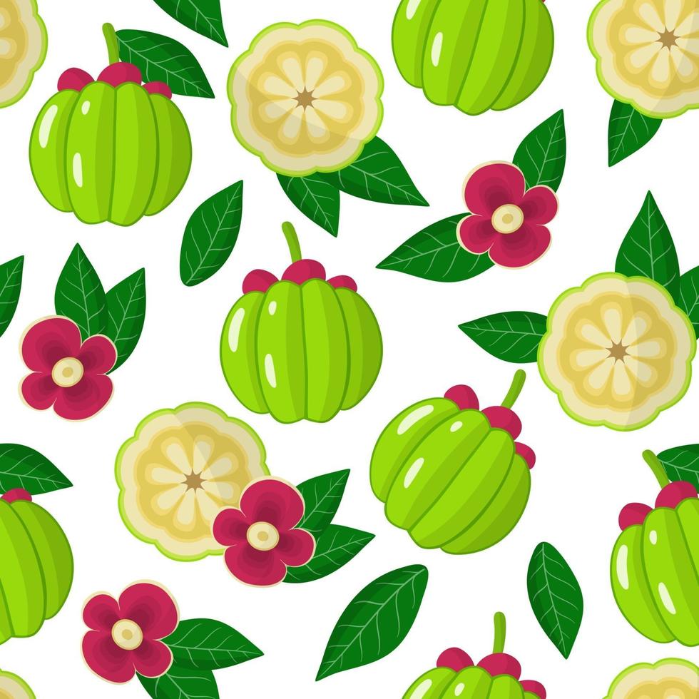Vector cartoon seamless pattern with Garcinia or monkey fruit exotic fruits, flowers and leafs on white background
